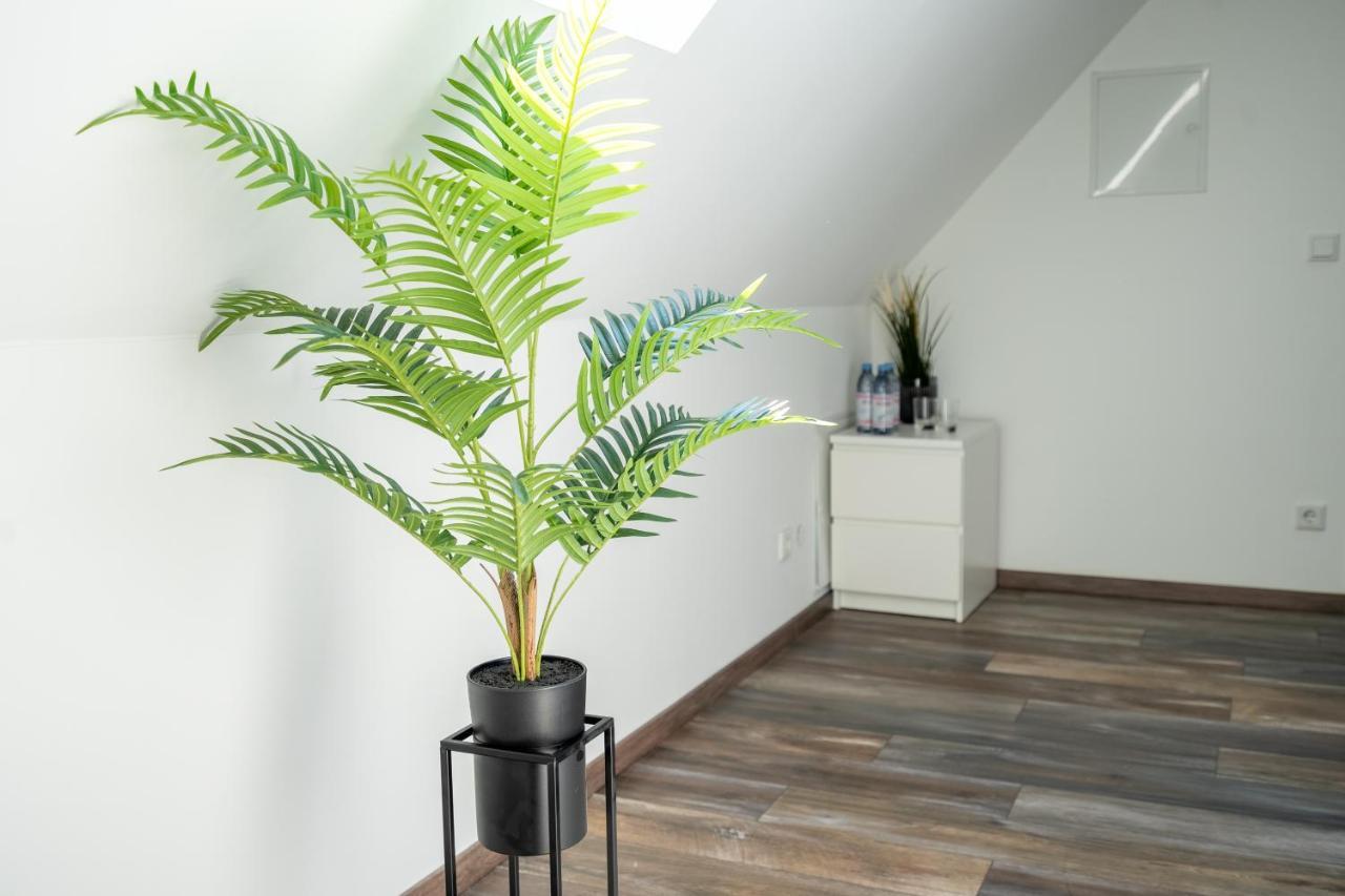 קסטרופ-ראוקסל Xxl Superior Apartment 1 - 10 Personen מראה חיצוני תמונה